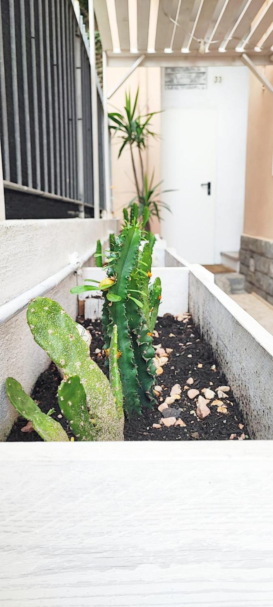 Residenza Bibliososta Apartment Ventimiglia Exterior photo